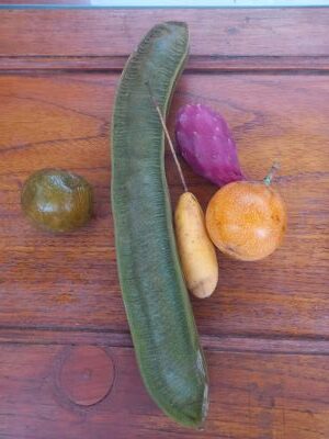 Foto de frutas peruanas.
