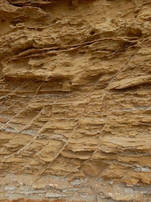 Foto de detalle geológico en la Reserva Natural de Paracas.