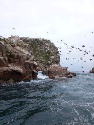 Foto del perfil de la Isla Blanca