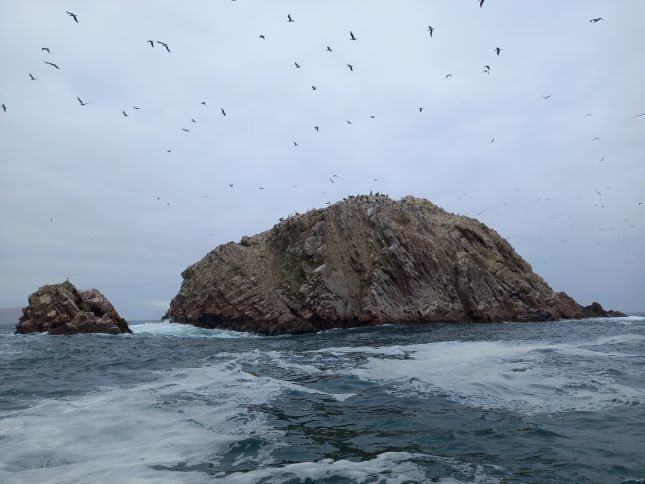 Foto de la Isla de la Plata, Perú.