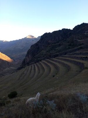 Foto de las ruinas de Pisac, en Perú.