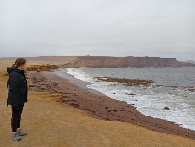 Paracas