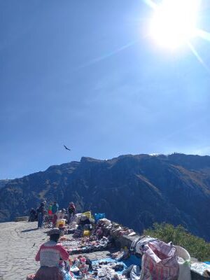 Foto de un cóndor volando en el mirador del Cóndor en Perú.