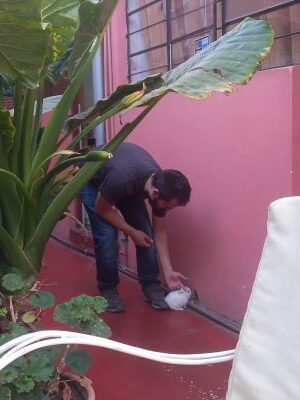 Foto de Josu acariciando el conejito que vivía en nuestro segundo hostal en Arequipa.