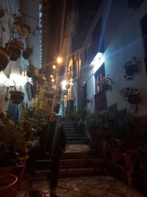 Calle llena de flores en Cuzco