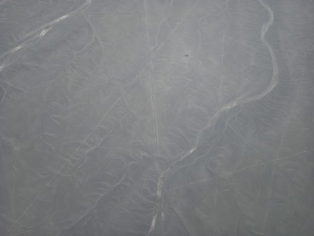 Foto de un petroglifo de Nazca desde la vista de la avioneta.